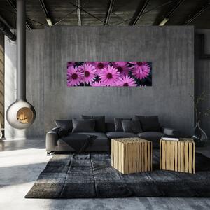 Obraz różowych kwiatów (170x50 cm)