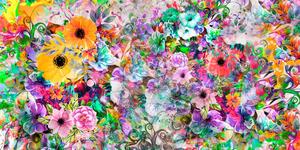 Obraz kolorowe kwiaty