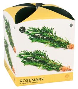 Arome Świeczka zapachowa w szkle Rosemary, 90 g