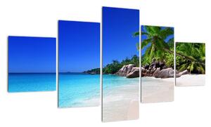 Obraz plaży na wyspie Praslin (125x70 cm)