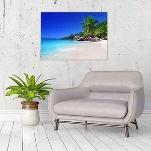 Obraz plaży na wyspie Praslin (70x50 cm)