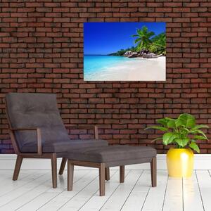 Obraz plaży na wyspie Praslin (70x50 cm)