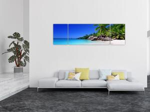 Obraz plaży na wyspie Praslin (170x50 cm)