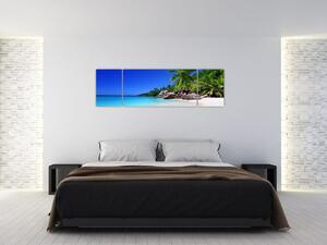 Obraz plaży na wyspie Praslin (170x50 cm)
