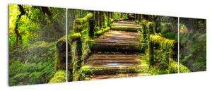 Obraz schodów w deszczowym pralesie (170x50 cm)