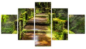 Obraz schodów w deszczowym pralesie (125x70 cm)