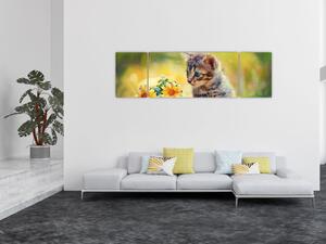 Obraz kotka patrzącego na kwiat (170x50 cm)