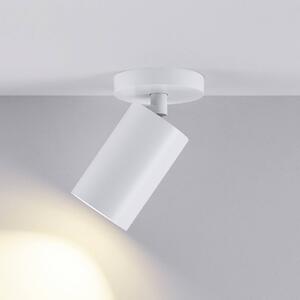 Deko-Light Reflektor sufitowy CAN TILT, biały, Ø 8 cm, 1-punktowa, metal, GU10 możliwość ściemniania, biały / opal, salon / jadalnia, aluminium