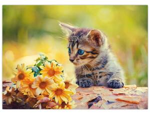 Obraz kotka patrzącego na kwiat (70x50 cm)