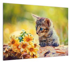 Obraz kotka patrzącego na kwiat (70x50 cm)