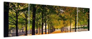 Obraz alei jesiennych drzew (170x50 cm)