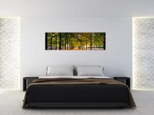 Obraz alei jesiennych drzew (170x50 cm)