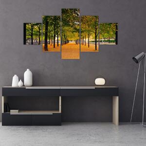 Obraz alei jesiennych drzew (125x70 cm)