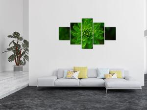 Obraz drzewa iglastego (125x70 cm)