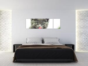 Obraz oblizującego się kotka (170x50 cm)