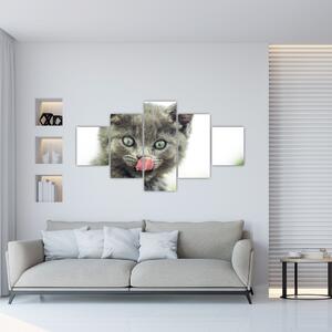 Obraz oblizującego się kotka (125x70 cm)
