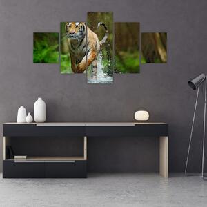 Obraz biegnącego tygrysa (125x70 cm)