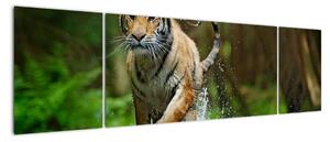 Obraz biegnącego tygrysa (170x50 cm)