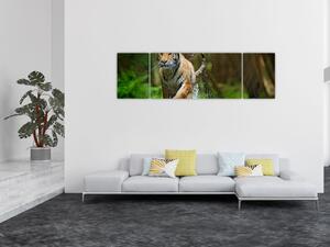 Obraz biegnącego tygrysa (170x50 cm)