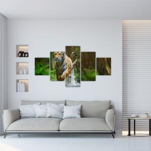 Obraz biegnącego tygrysa (125x70 cm)