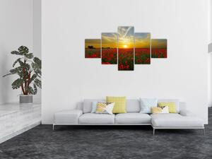 Obraz pola maków (125x70 cm)
