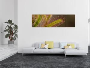 Obraz rośliny (170x50 cm)