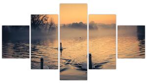 Obraz łabędzi na wodzie we mgle (125x70 cm)