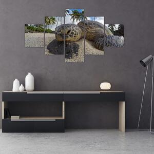 Obraz żółwia (125x70 cm)