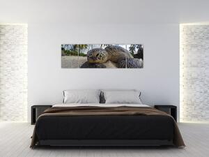 Obraz żółwia (170x50 cm)