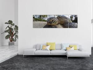 Obraz żółwia (170x50 cm)