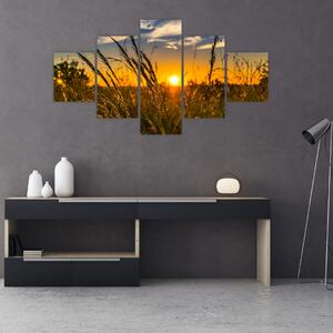 Obraz pola o zachodzie słońca (125x70 cm)