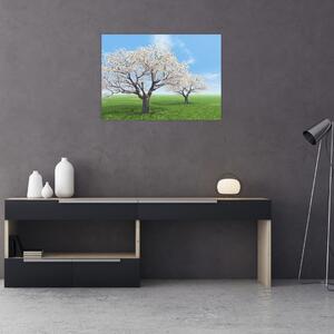 Obraz drzew (70x50 cm)