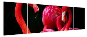 Obraz czerwonych flamingów (170x50 cm)