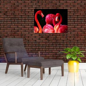 Obraz czerwonych flamingów (70x50 cm)