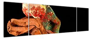 Obraz kameleona na gałęzi (170x50 cm)