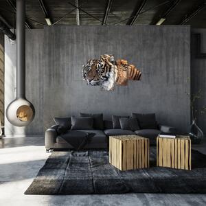 Obraz tygrysa (125x70 cm)
