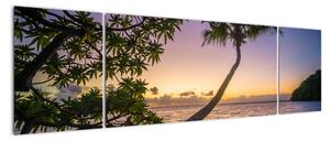 Obraz palmy na plaży (170x50 cm)