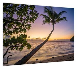 Obraz palmy na plaży (70x50 cm)