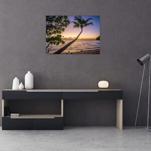 Obraz palmy na plaży (70x50 cm)