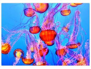 Obraz meduz w morzu (70x50 cm)