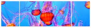 Obraz meduz w morzu (170x50 cm)