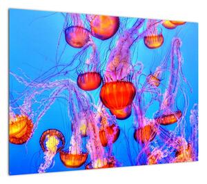 Obraz meduz w morzu (70x50 cm)