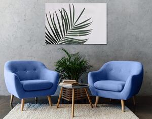 Obraz piękny liść palmowy