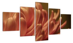 Obraz szczegółów kwiatu (125x70 cm)