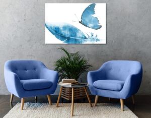 Obraz piórko z motylem w kolorze niebieskim