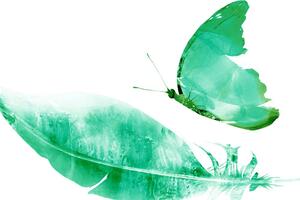 Obraz piórko z motylem w kolorze zielonym