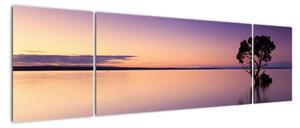 Obraz powierzchni wody o wschodzie słońca (170x50 cm)