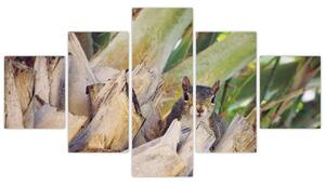 Obraz wiewiórki na drzewie (125x70 cm)