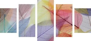 5-częściowy obraz żyłki na kolorowych liściach