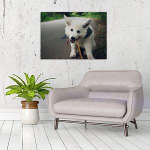 Obraz białego psa (70x50 cm)